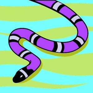 Meet your Posher, Ayman